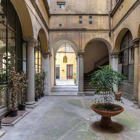 Mdr Liliac * Firenze